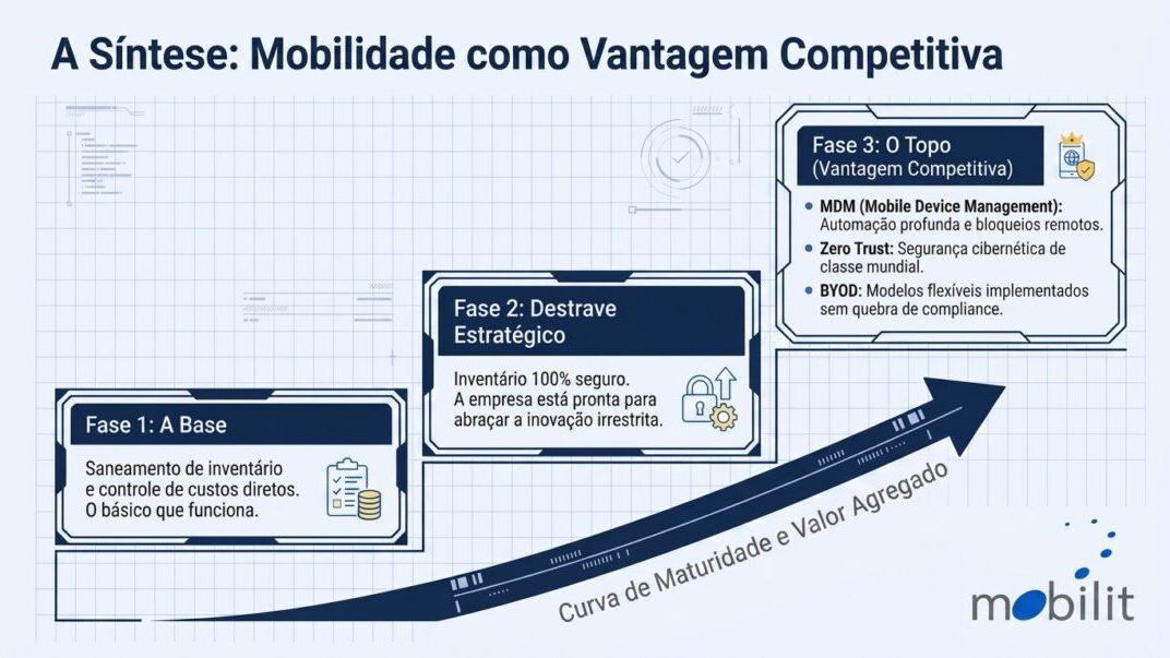 artigo43_final_slide-12